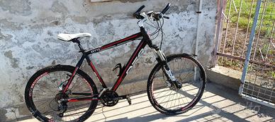 Bicicletta uomo 