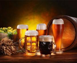 Risto Pub Bassano del Grappa