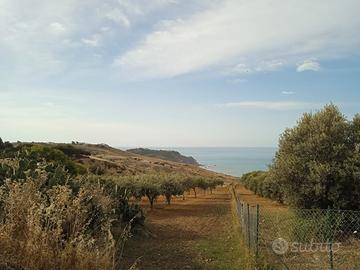 Terreno Contrada Pergole