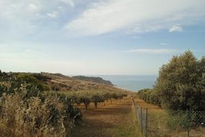 Terreno Contrada Pergole
