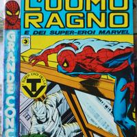 L'uomo ragno 