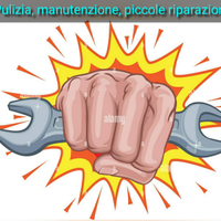 Caldaista/manutentore