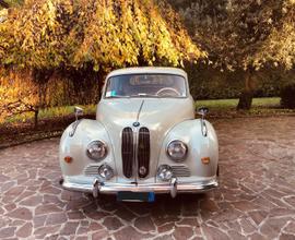 Bmw 501 anno 1955