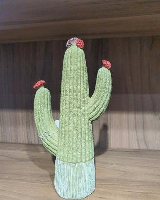 cactus d'arredamento 