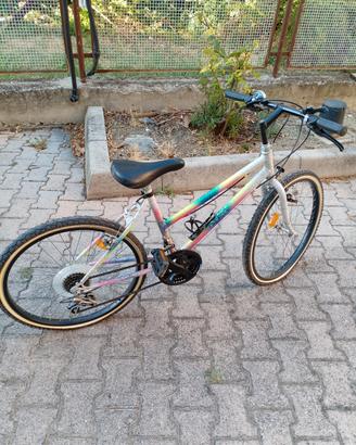 Bici da ragazza 