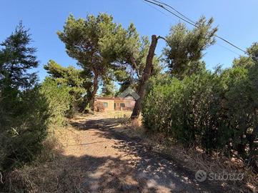 RUSTICO A FOGGIA