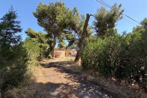 RUSTICO A FOGGIA