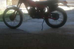 Trial