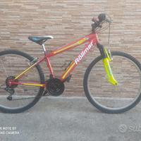 Bicicletta Mountain bike da 26