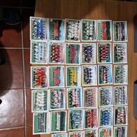 Figurine Panini
