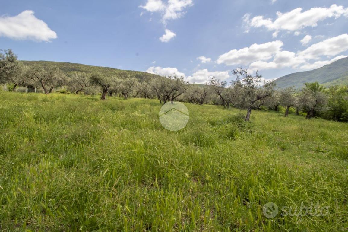 TER. AGRICOLO A PALOMBARA SABINA - Vista 4