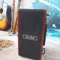 Harley Benton Street Box 60 - Amplificatore