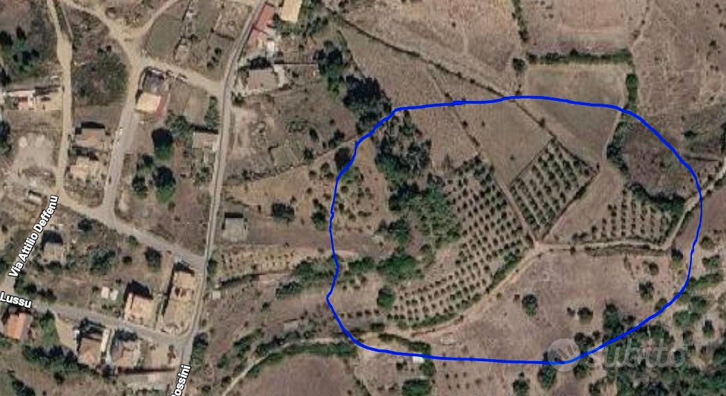 Terreno edificabile con uliveto - Vista 3