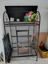 voliera per pappagalli grandi, completa di tutto. 