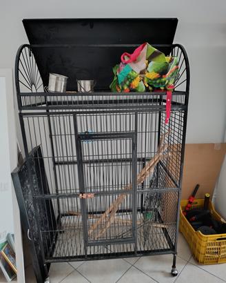 voliera per pappagalli grandi, completa di tutto. 