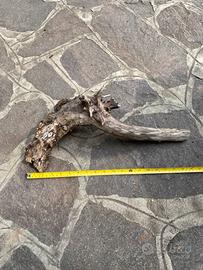 Legno per acquario o terrario