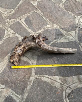 Legno per acquario o terrario