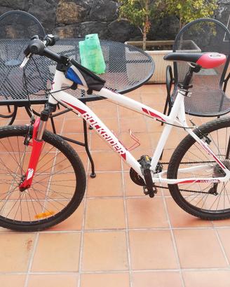 mtb - mountain bike