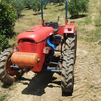 Trattare same puledro 40