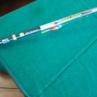 canna da pesca