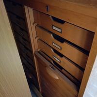 cassettiera in legno di faggio . 