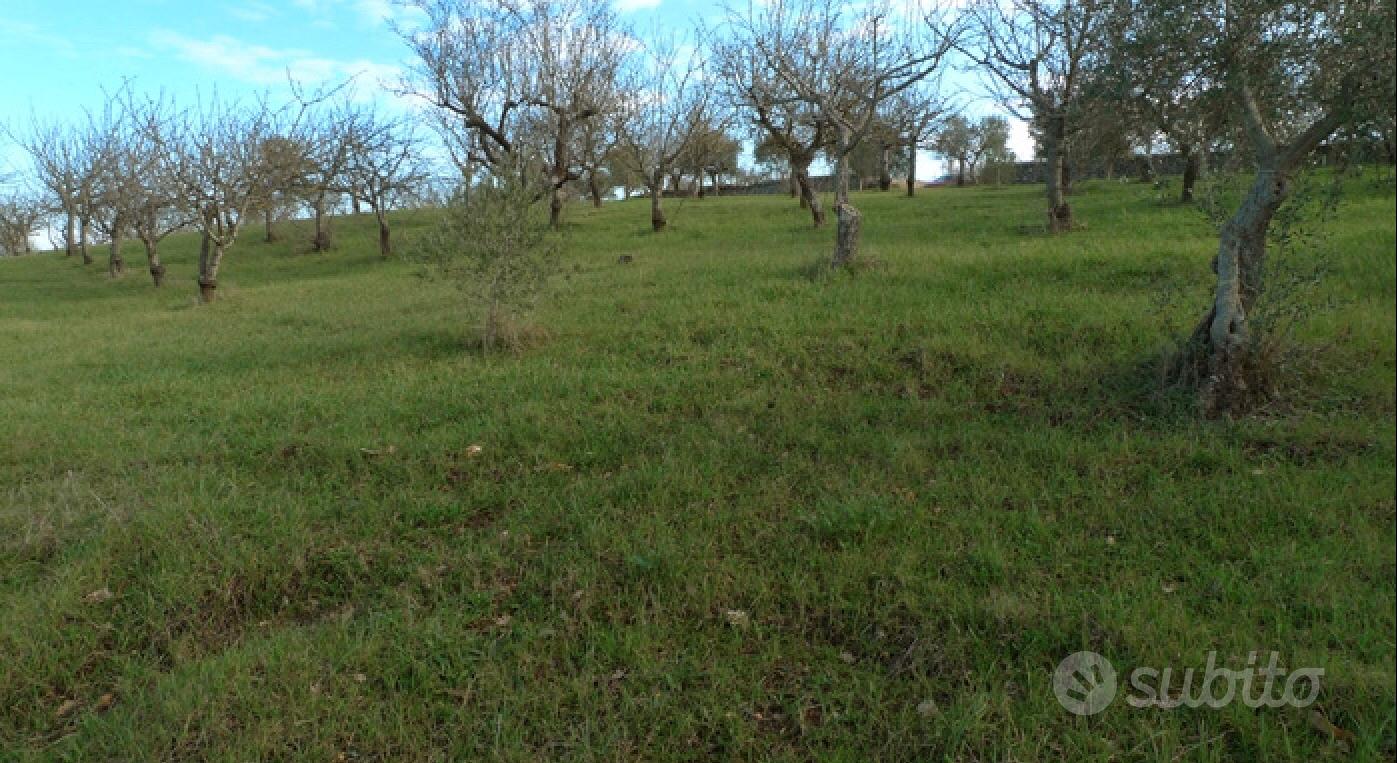 Trullo con lamia e terreno edificabile - Vista 3