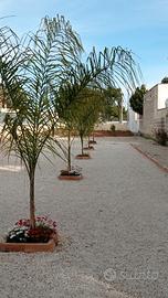 A 5 min a piedi dalla spiaggia, app.to 6 p.l