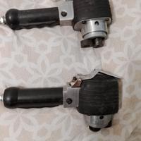 lucidatrice pleomatia 