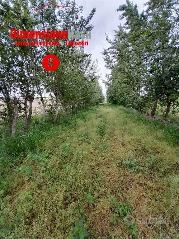Terreno di 8218 m² a Acerra - Vista 5