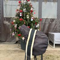 Sella da salto - Winner