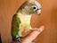 Immagine 6