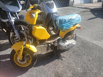motorino 50