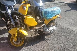 motorino 50