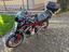 Immagine 2