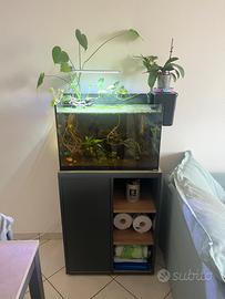 Acquario completo