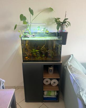Acquario completo