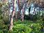 Immagine 22