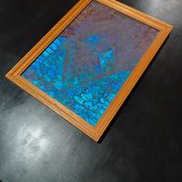 quadro con ali di farfalla 