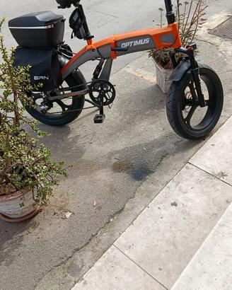 bicicletta elettrica 