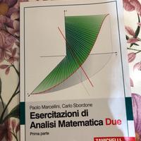 Esercitazioni di Analisi Matematica Due