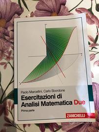 Esercitazioni di Analisi Matematica Due