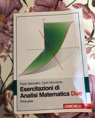 Esercitazioni di Analisi Matematica Due