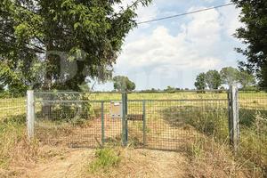 Terreno Agricolo Teolo [AL0293VCG]