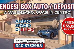 box auto deposito a Valenzano 