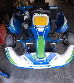 go kart 100