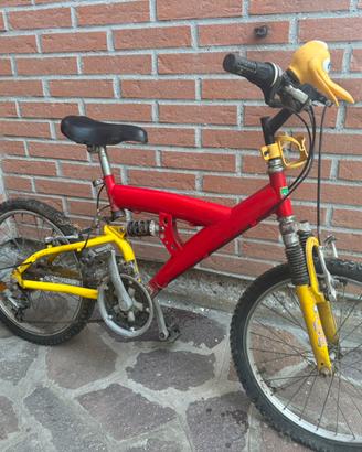 Bici da ragazzo