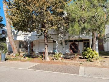 Negozio Grado Pineta