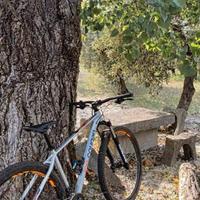 bici LEE COUGAN NITRO