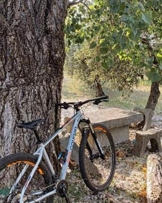 bici LEE COUGAN NITRO