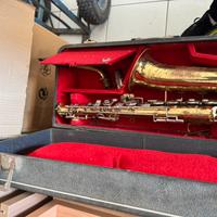 Saxo borgiani